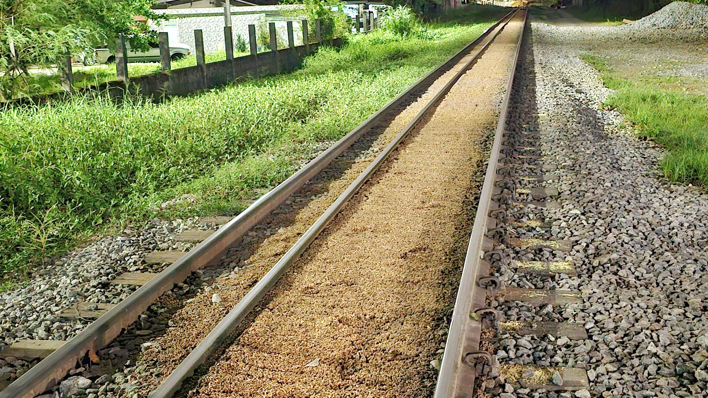 Cheiro de podre e ratos: soja em linha férrea há mais de 10 dias causa transtorno aos moradores.