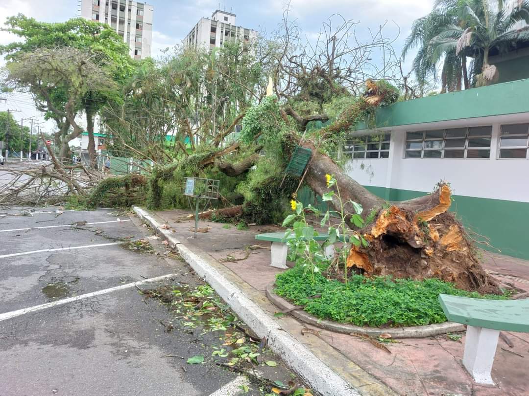 Foto: Página Cubatenses.